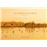 La Albufera Del Valencia