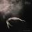 Other Worlds - Vinilo Blanco