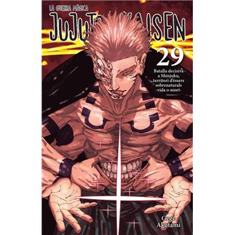 Jujutsu Kaisen 29