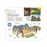 DK Eyewitness Travel Guide - Dordogne, Bordeaux and the Southwest Coast_14