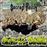 Alive At The Dynamo - CD