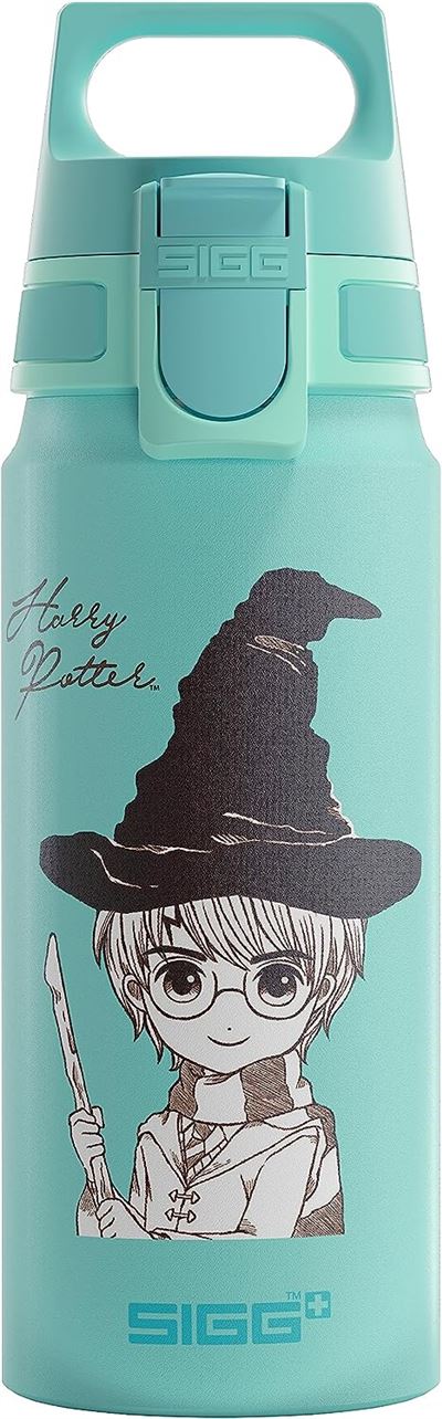 Botella Harry Potter de 600ml