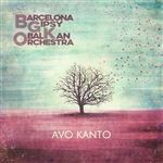 Avo Kanto - Vinilo