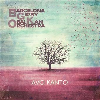 Avo Kanto - Vinilo
