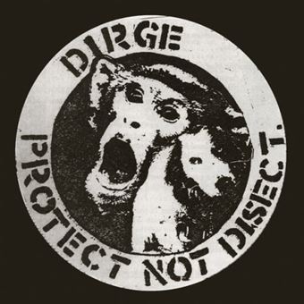 Protect Not Disect - CD