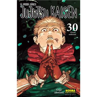 Jujutsu Kaisen 30