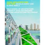 Social infraestructure-new york