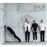 Gaur