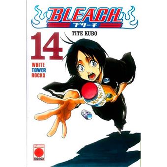 Bleach 14