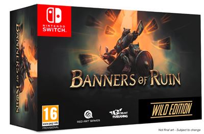 Banners Of Ruin Wild Edition Nintendo Switch