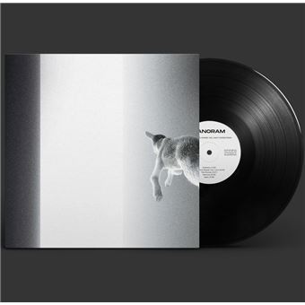 Keep Looking Where The Light Comes From - Vinilo