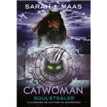 Catwoman-soulstealer-dc icons 4