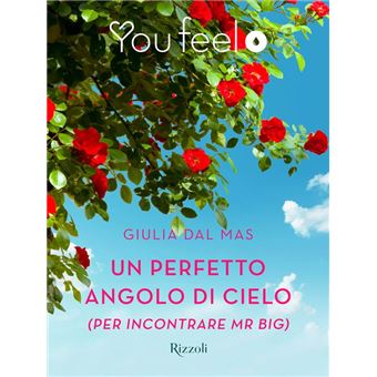 Un perfetto angolo di cielo (per incontrare Mr Big) (Youfeel) - 1