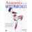 Anatomía de las artes marciales_0