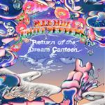 Return Of The Dream Canteen - 2 Vinilos