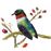 Aves Migratorias