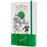 Cuaderno Moleskine El Mago de Oz Farsante large rayas tapa dura verde_0