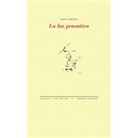 La Luz Pensativa