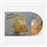 Stellar Evolution - CD