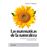 Las matemáticas de la naturaleza