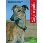 El galgo español