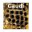 Gaudi introduccion a su arquite -al