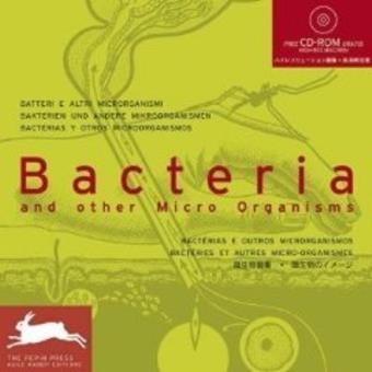 Bacteria and Other Organism l - 1
