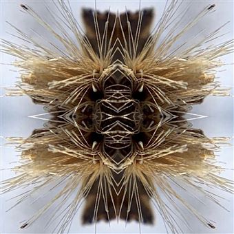 Sutra - CD