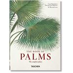 Martius. el libro de las palmeras.