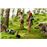 Campamento Garra de Oso - DVD
