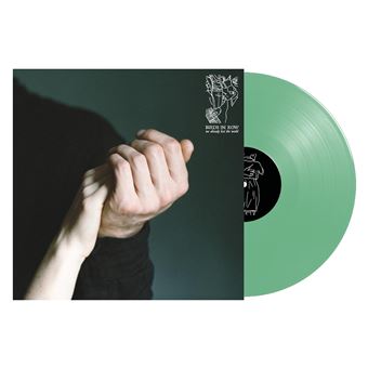 We Already Lost The World - Vinilo Verde