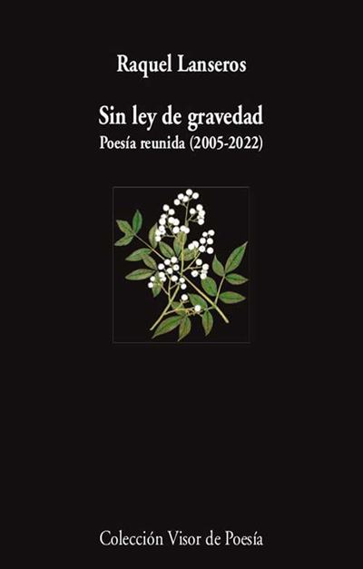 Visor Libros, S.l. Sin Ley De Gravedad