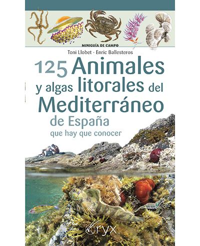 Lectio Ediciones 125 Animales Y Algas Litorales Del Mediterraneo De España Qu