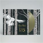 Lp-lys (natural)