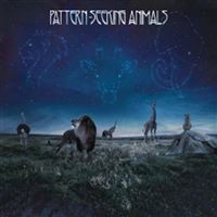 Pattern-seeking animals - 2 Vinilos + CD