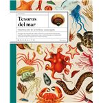Tesoros del mar