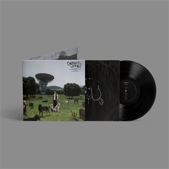 Lp-los perros no entienden internet