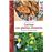 Cocinar con plantas silvestres