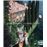 Slim Aarons: La Dolce Vita_0