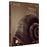 Memorias de un caracol Ed Especial Funda - Blu-ray