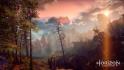 Horizon Zero Dawn Edición Coleccionista PS4_22