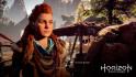 Horizon Zero Dawn Edición Coleccionista PS4_11