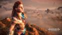 Horizon Zero Dawn Edición Coleccionista PS4_14