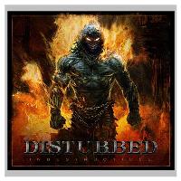 Indestructible - Vinilo
