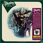 All Directions (limited edition) - Vinilo