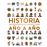 Historia año a año