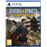 Sengoku Dynasty Ultimate Edition PS5