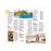 DK Eyewitness Travel Guide - Florida_11