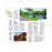 DK Eyewitness Travel Guide - Florida_14