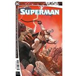 Estado Futuro: Superman